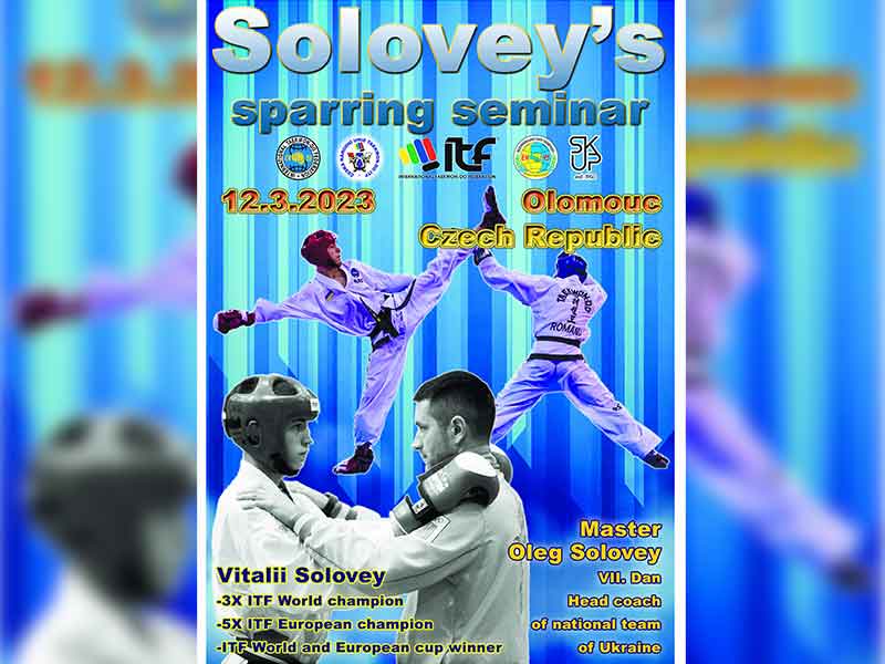 Solovey's Sparring Seminar thumbnail