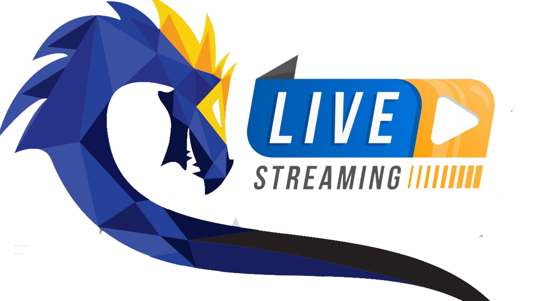 Euros 2019 - Live streaming thumbnail