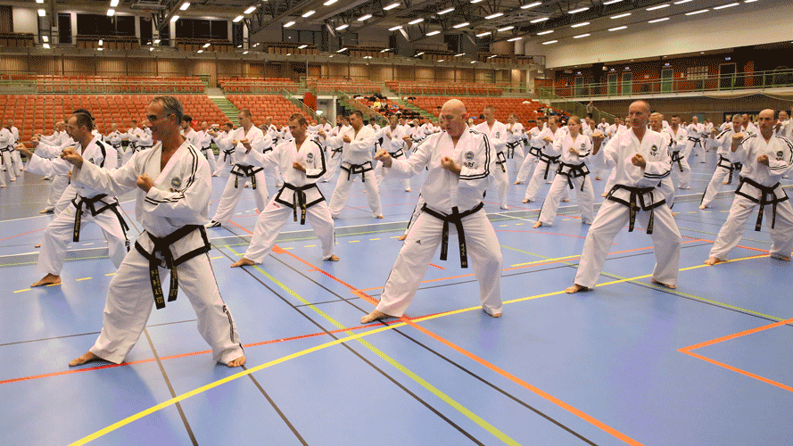 REPORT from 132nd IIC in Sweden thumbnail