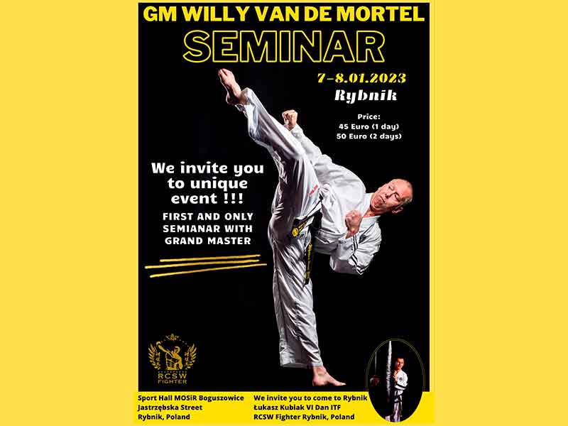 Seminar with GM Willy van de Mortel - Rybnik, Poland thumbnail