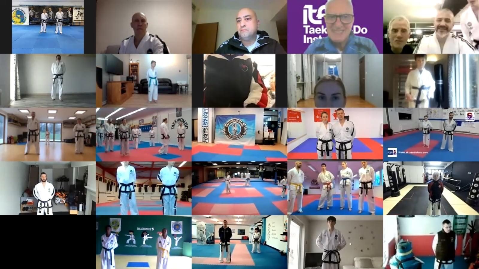 Zoom Seminar with Solovey's Family 3